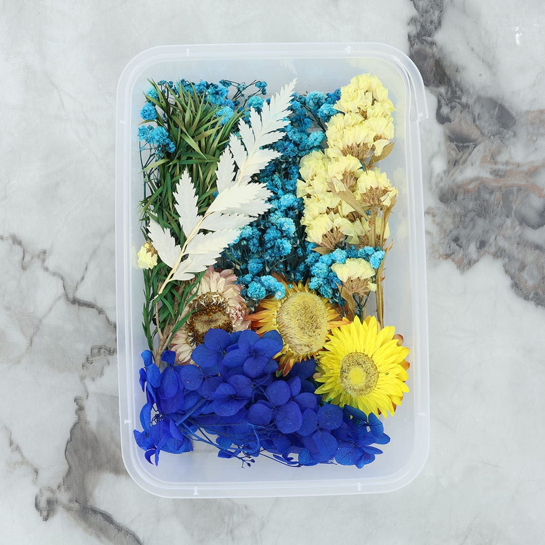 Crafteria 3D Dry Flower Random Colour